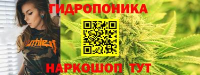 индика Севастополь