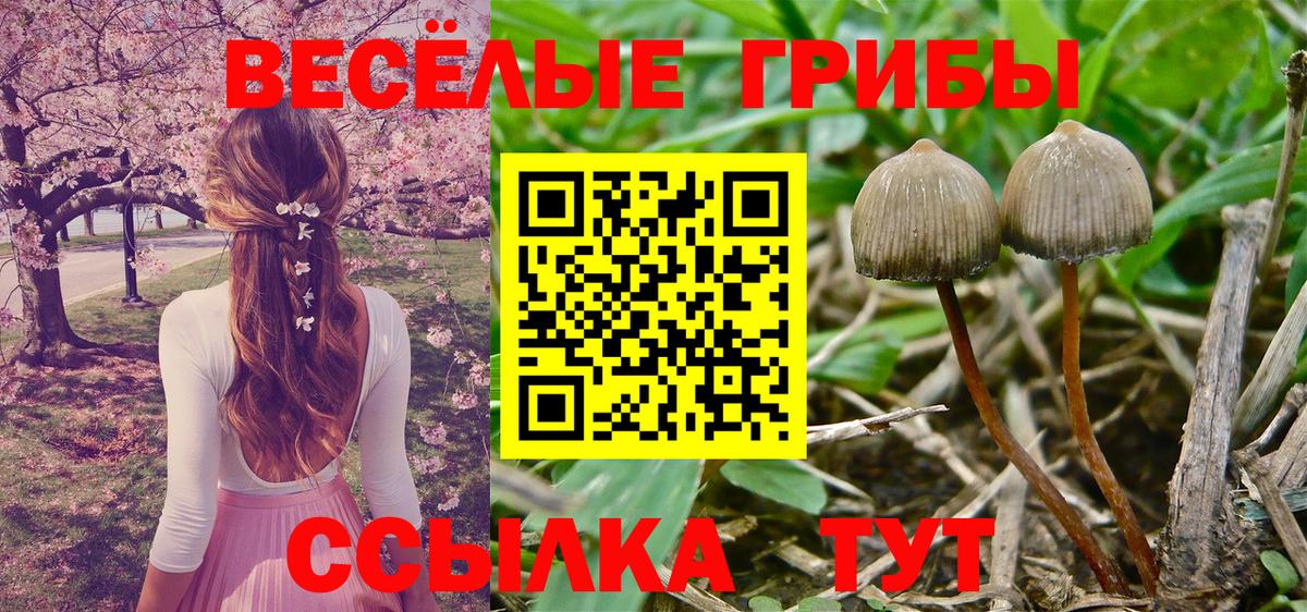 Псилоцибиновые грибы Psilocybine cubensis  Вход с VPN  Псилоцибиновые грибы ЛСД  Рубцовск 